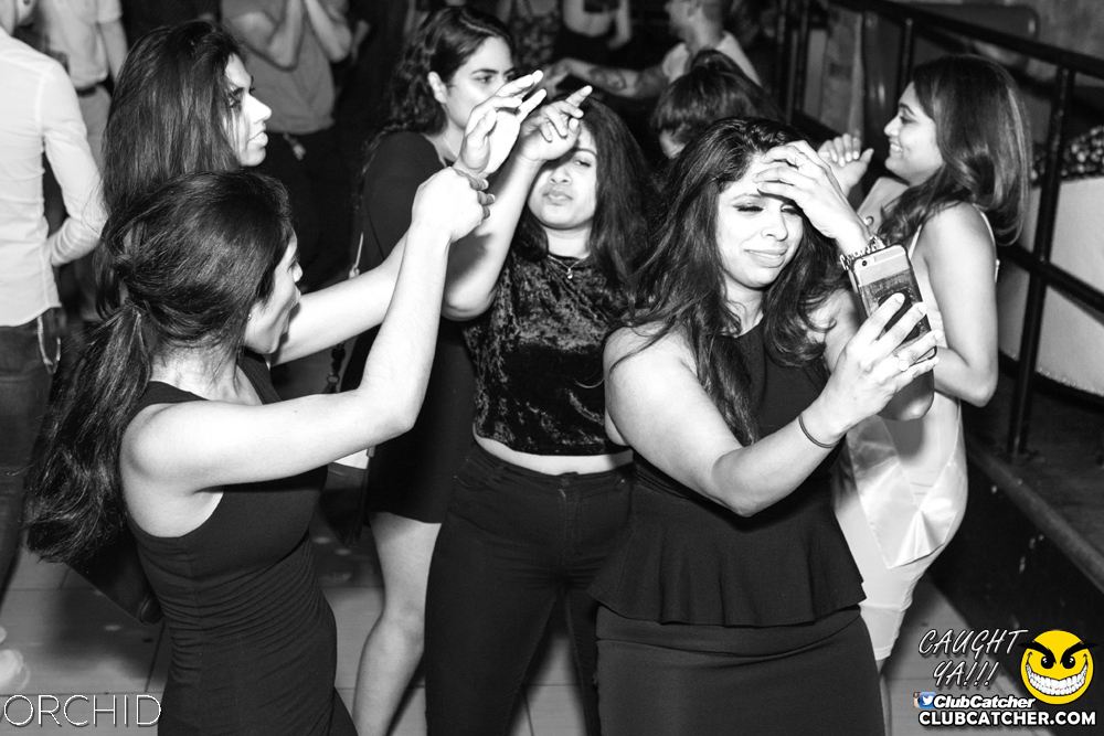 Orchid nightclub photo 35 - July 13th, 2019