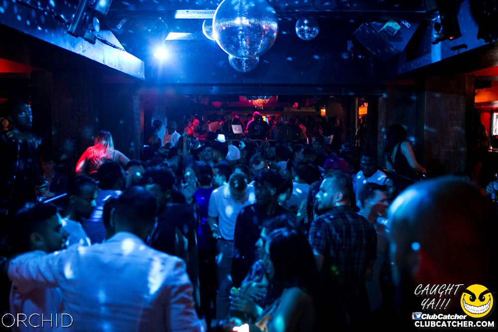 Orchid nightclub photo 38 - July 13th, 2019