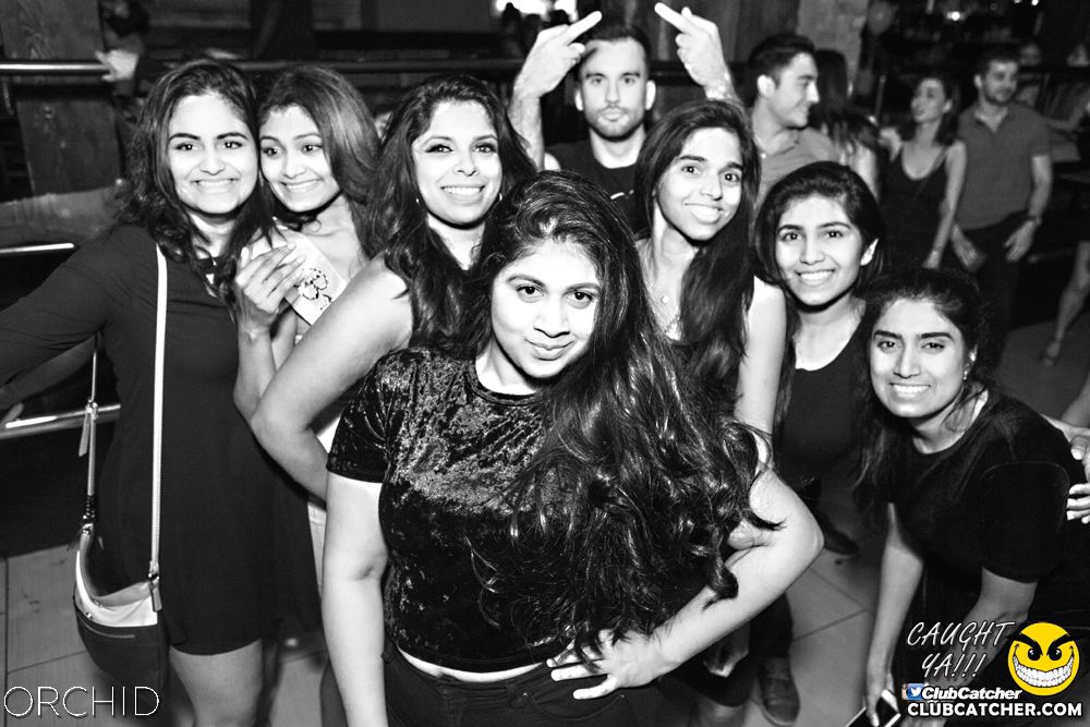 Orchid nightclub photo 39 - July 13th, 2019