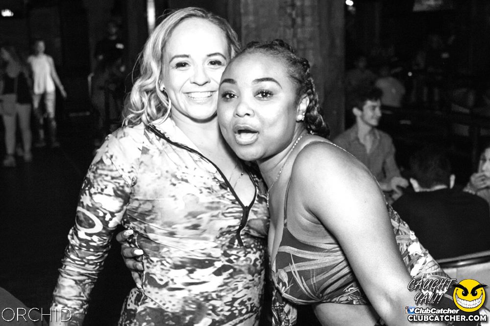 Orchid nightclub photo 43 - July 13th, 2019