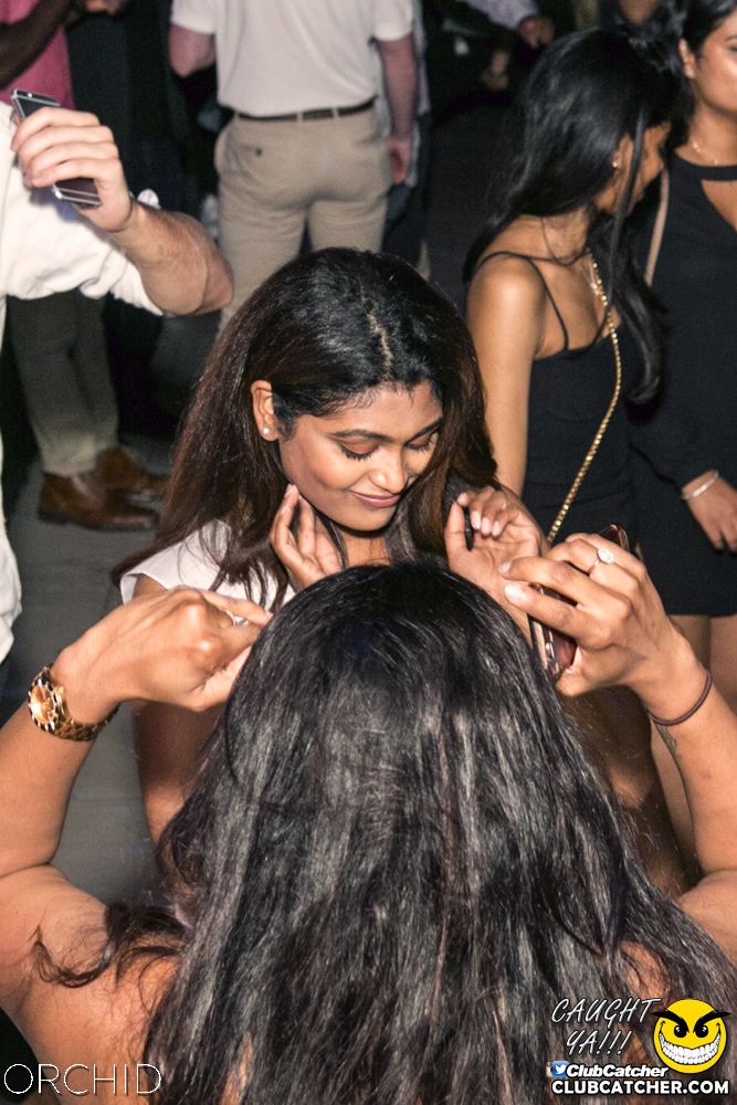 Orchid nightclub photo 44 - July 13th, 2019