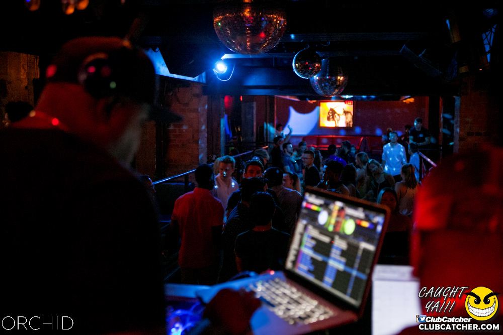 Orchid nightclub photo 48 - July 13th, 2019