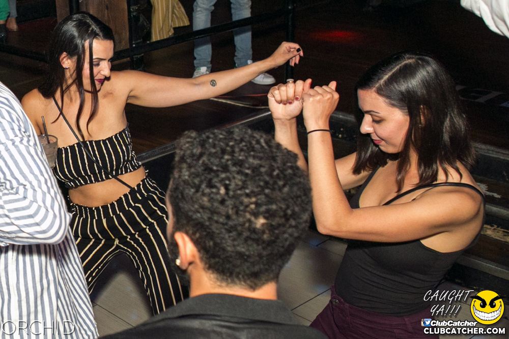 Orchid nightclub photo 49 - July 13th, 2019