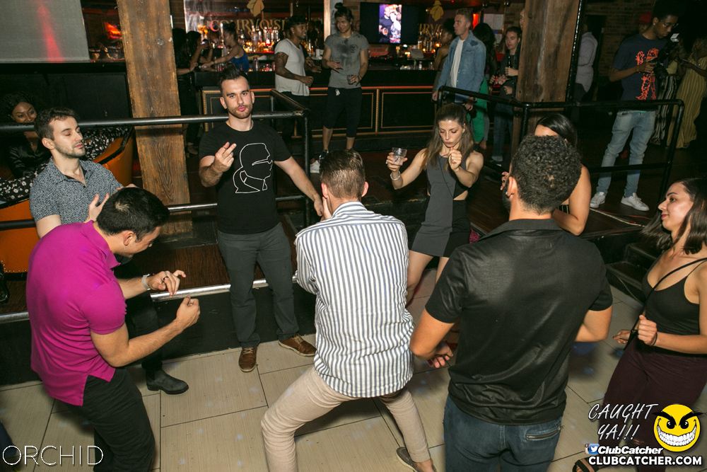 Orchid nightclub photo 51 - July 13th, 2019