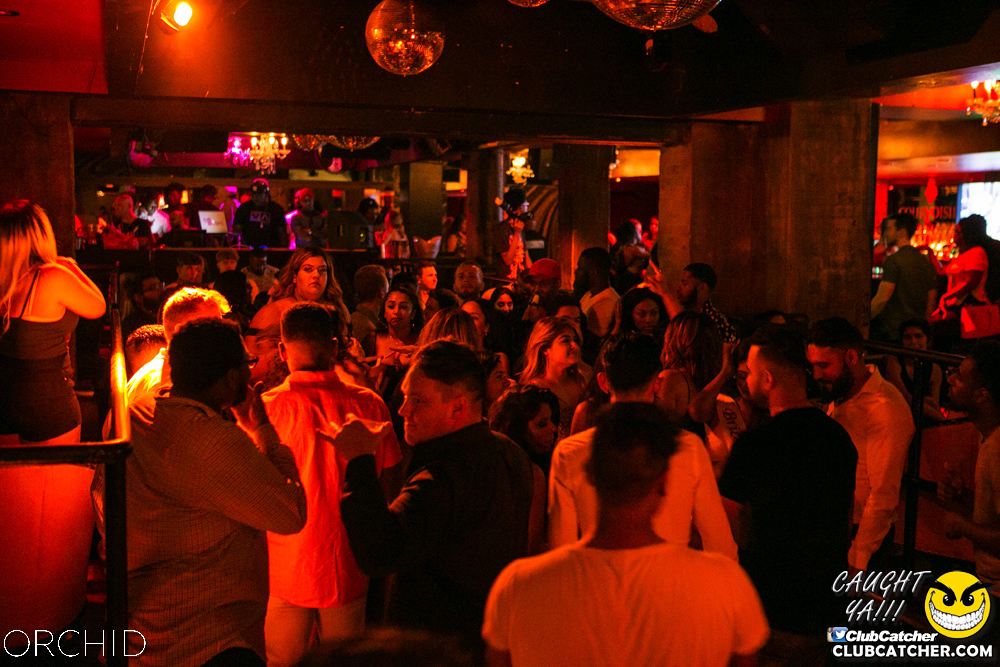 Orchid nightclub photo 56 - July 13th, 2019