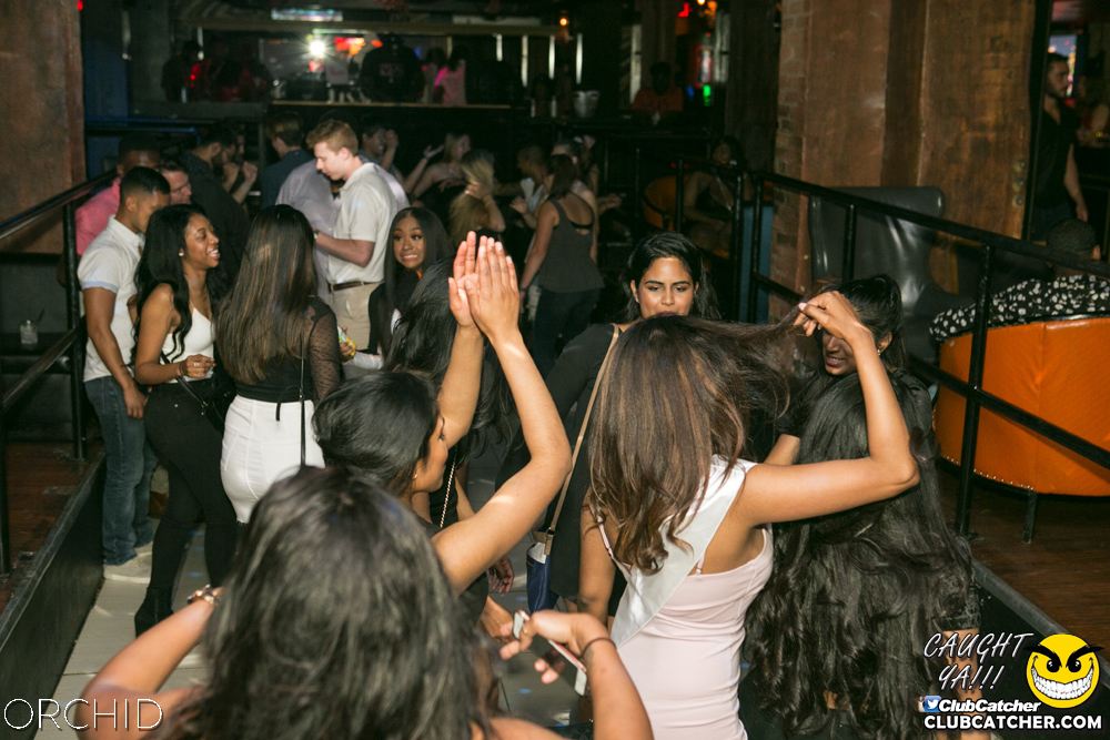 Orchid nightclub photo 60 - July 13th, 2019