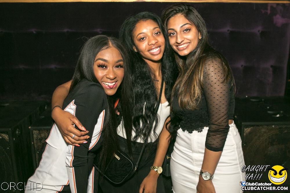 Orchid nightclub photo 61 - July 13th, 2019