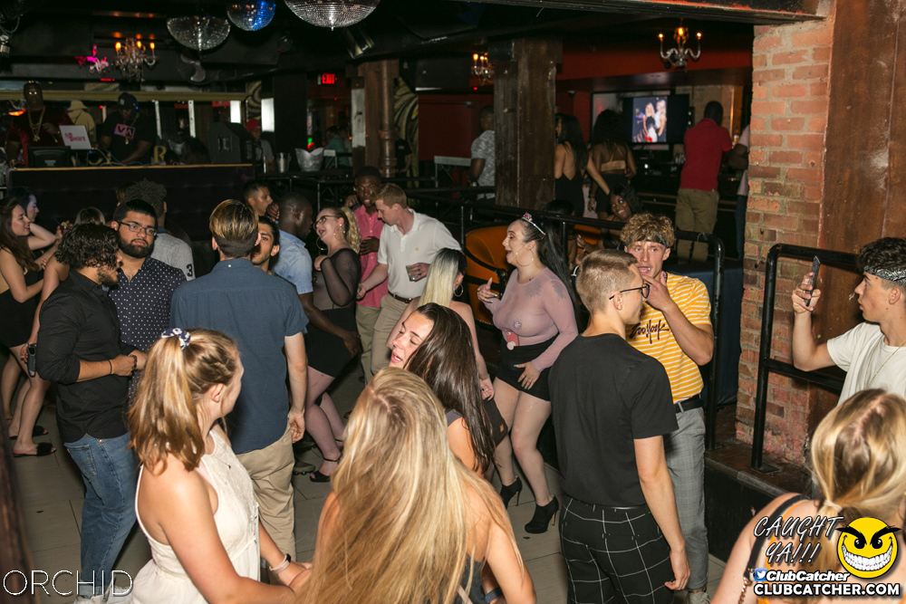 Orchid nightclub photo 64 - July 13th, 2019