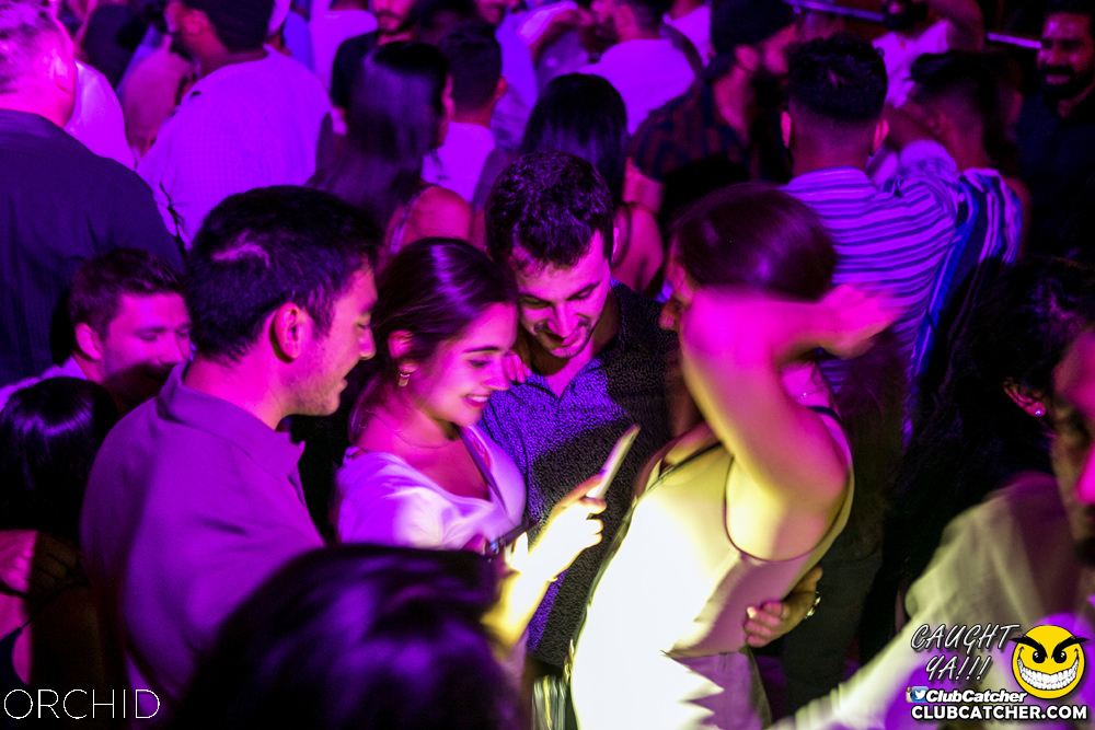 Orchid nightclub photo 67 - July 13th, 2019