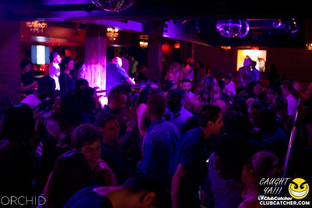 Orchid nightclub photo 8 - July 13th, 2019