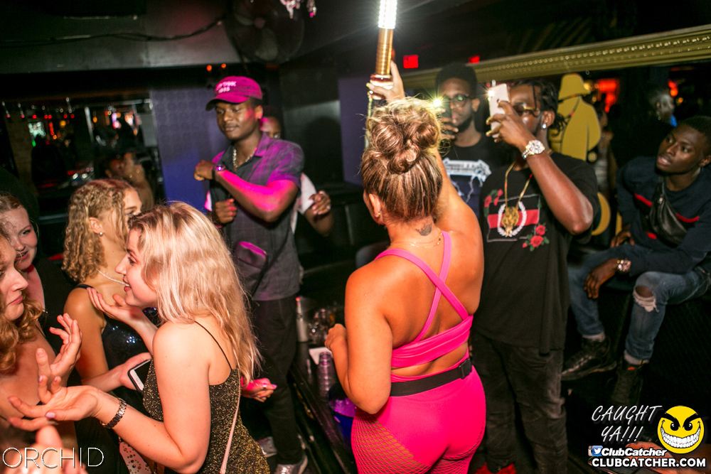 Orchid nightclub photo 102 - July 20th, 2019