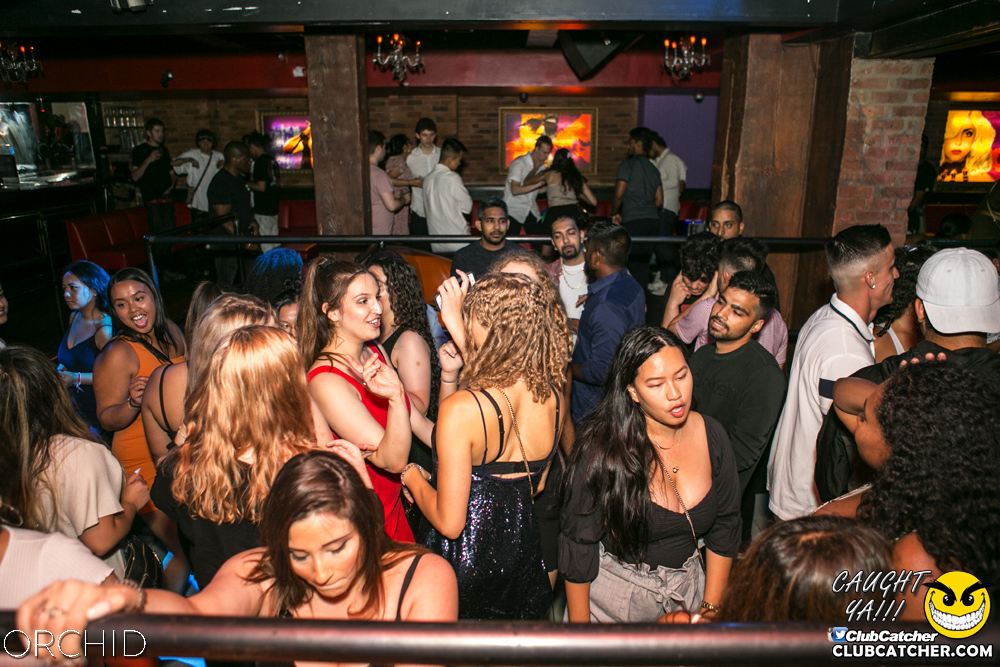 Orchid nightclub photo 109 - July 20th, 2019