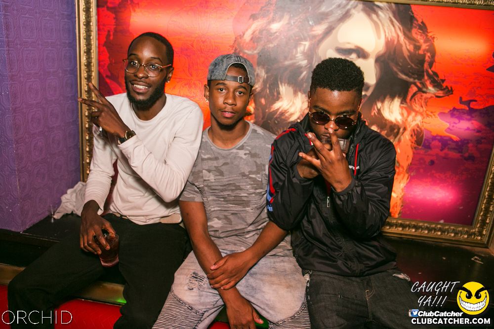 Orchid nightclub photo 111 - July 20th, 2019