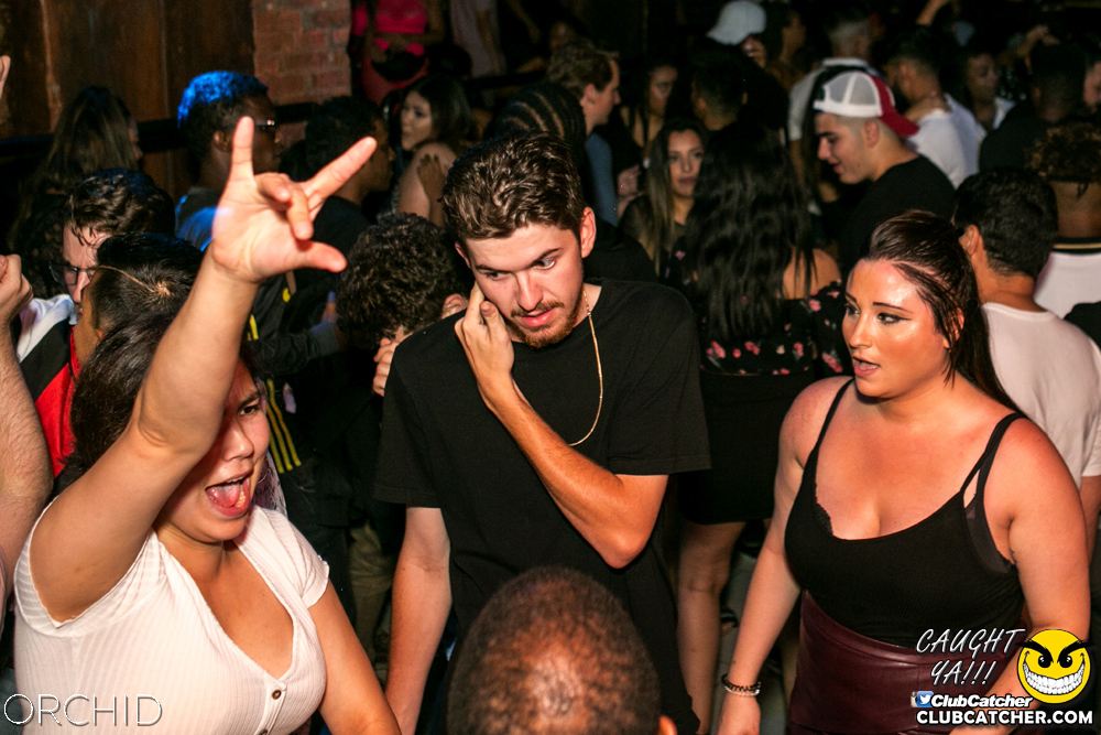 Orchid nightclub photo 115 - July 20th, 2019