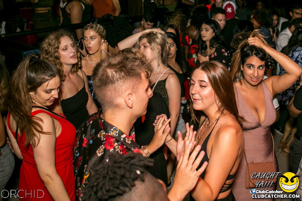 Orchid nightclub photo 119 - July 20th, 2019