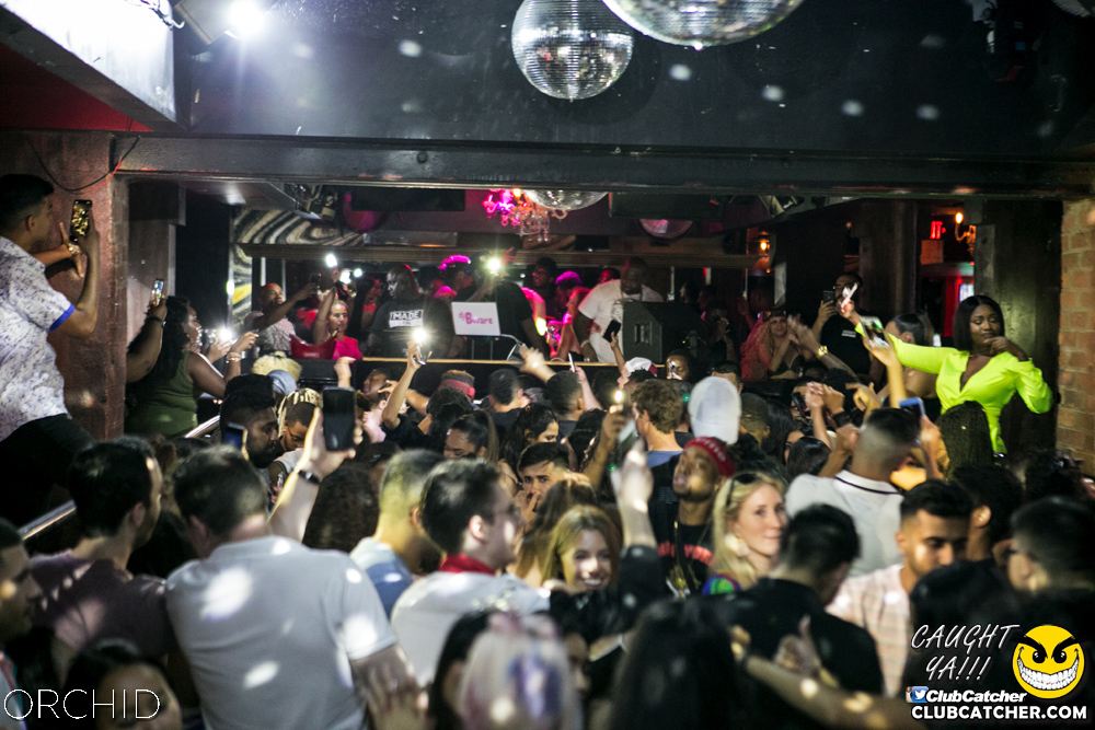 Orchid nightclub photo 13 - July 20th, 2019