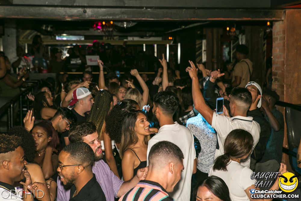 Orchid nightclub photo 122 - July 20th, 2019