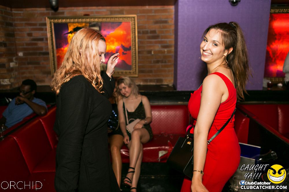 Orchid nightclub photo 128 - July 20th, 2019