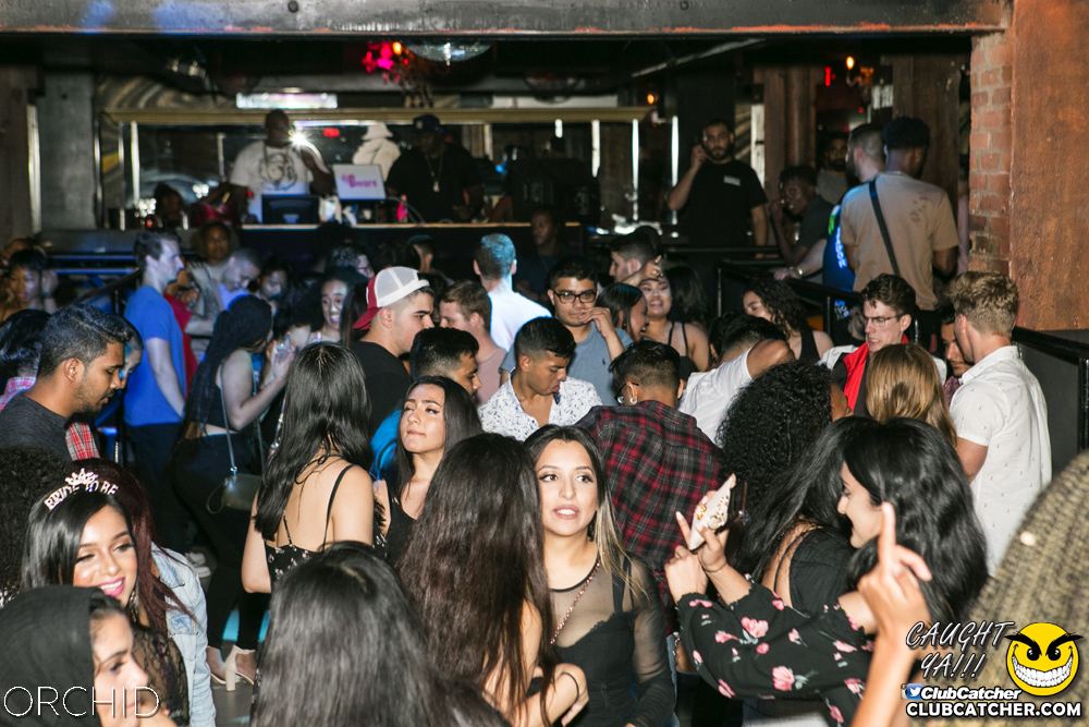 Orchid nightclub photo 138 - July 20th, 2019