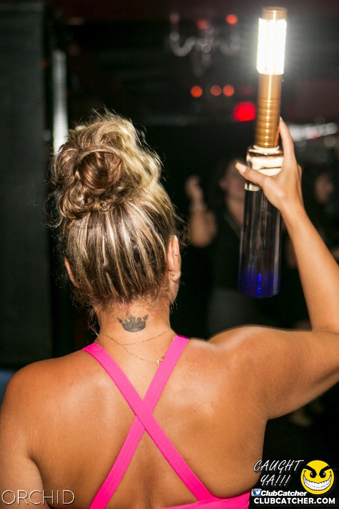 Orchid nightclub photo 20 - July 20th, 2019