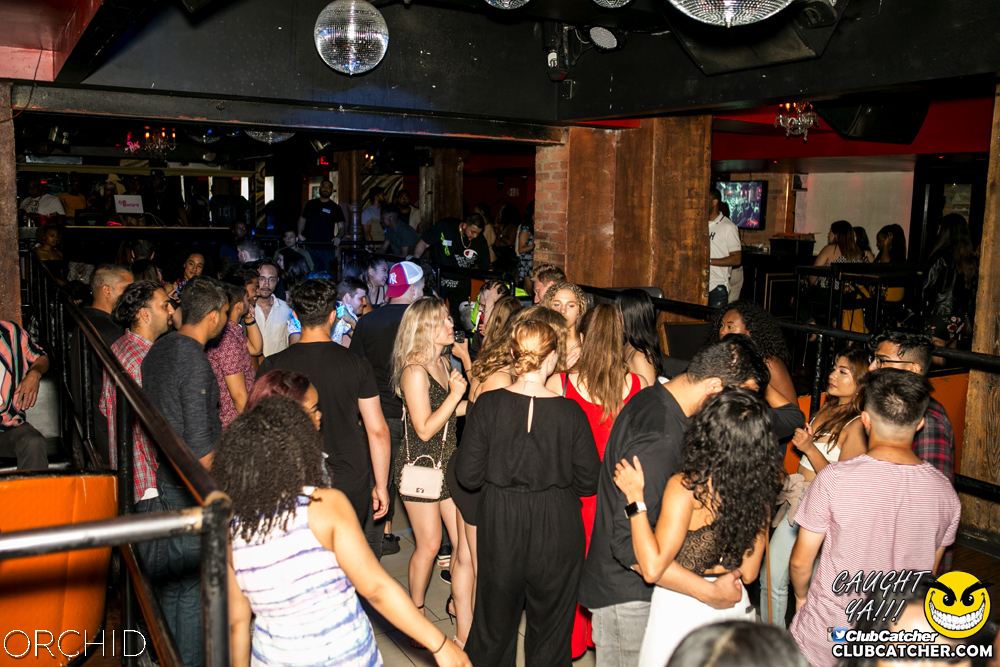 Orchid nightclub photo 22 - July 20th, 2019