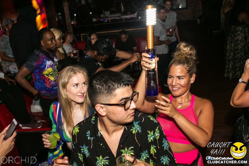 Orchid nightclub photo 23 - July 20th, 2019