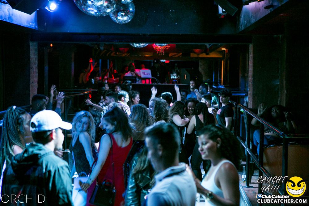 Orchid nightclub photo 28 - July 20th, 2019