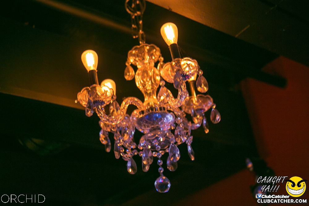 Orchid nightclub photo 33 - July 20th, 2019