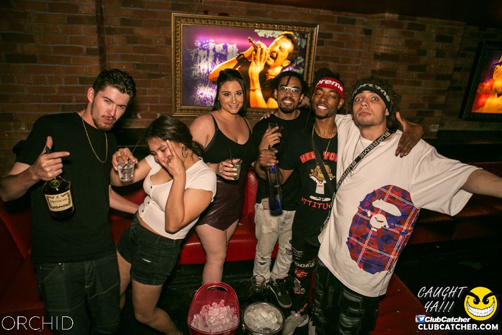 Orchid nightclub photo 35 - July 20th, 2019