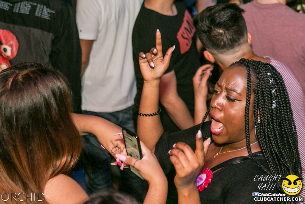 Orchid nightclub photo 39 - July 20th, 2019