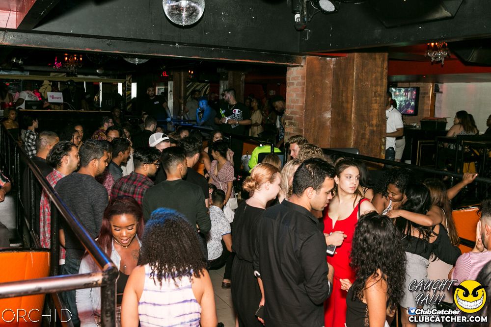 Orchid nightclub photo 40 - July 20th, 2019