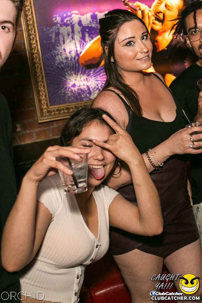 Orchid nightclub photo 43 - July 20th, 2019