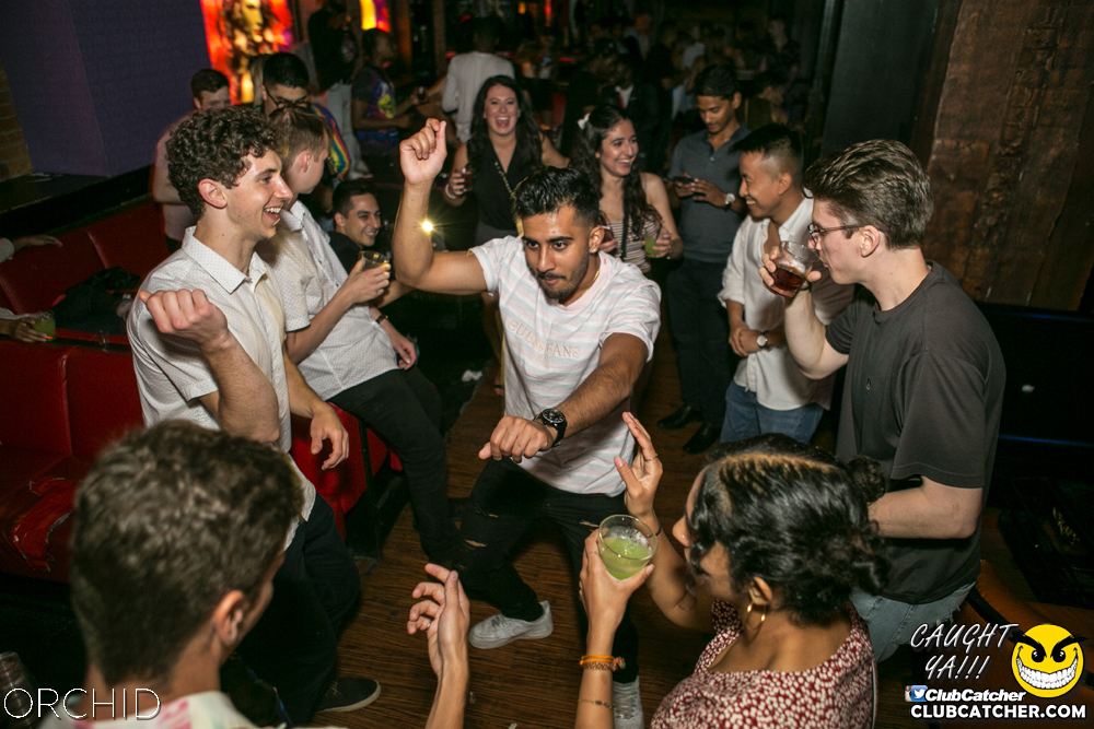 Orchid nightclub photo 48 - July 20th, 2019