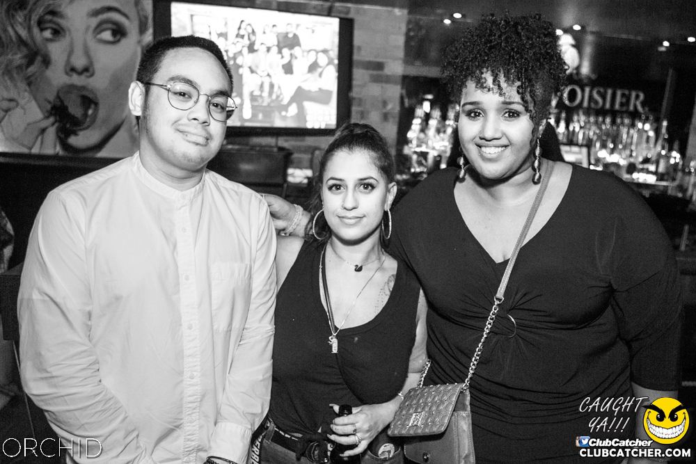 Orchid nightclub photo 53 - July 20th, 2019