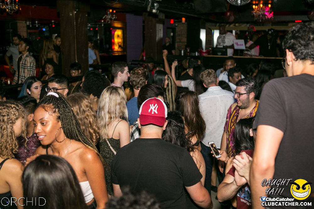 Orchid nightclub photo 61 - July 20th, 2019
