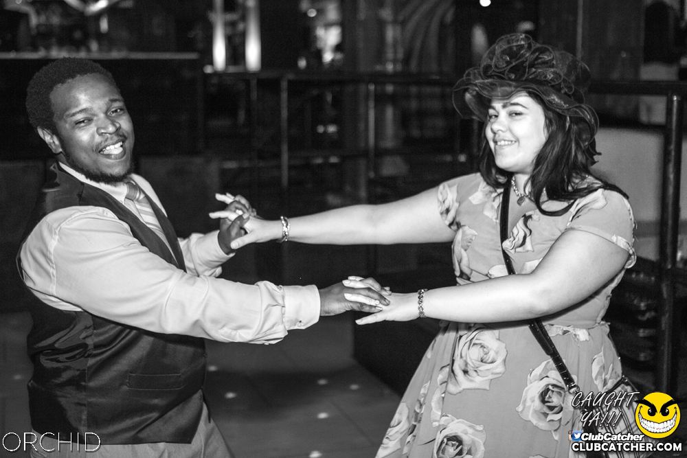 Orchid nightclub photo 62 - July 20th, 2019