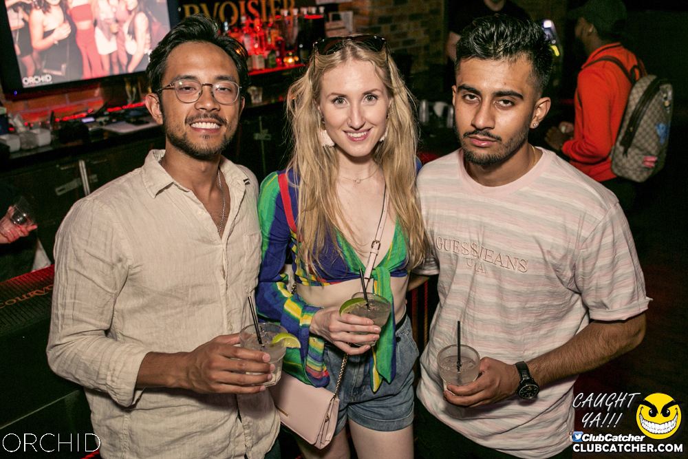 Orchid nightclub photo 63 - July 20th, 2019