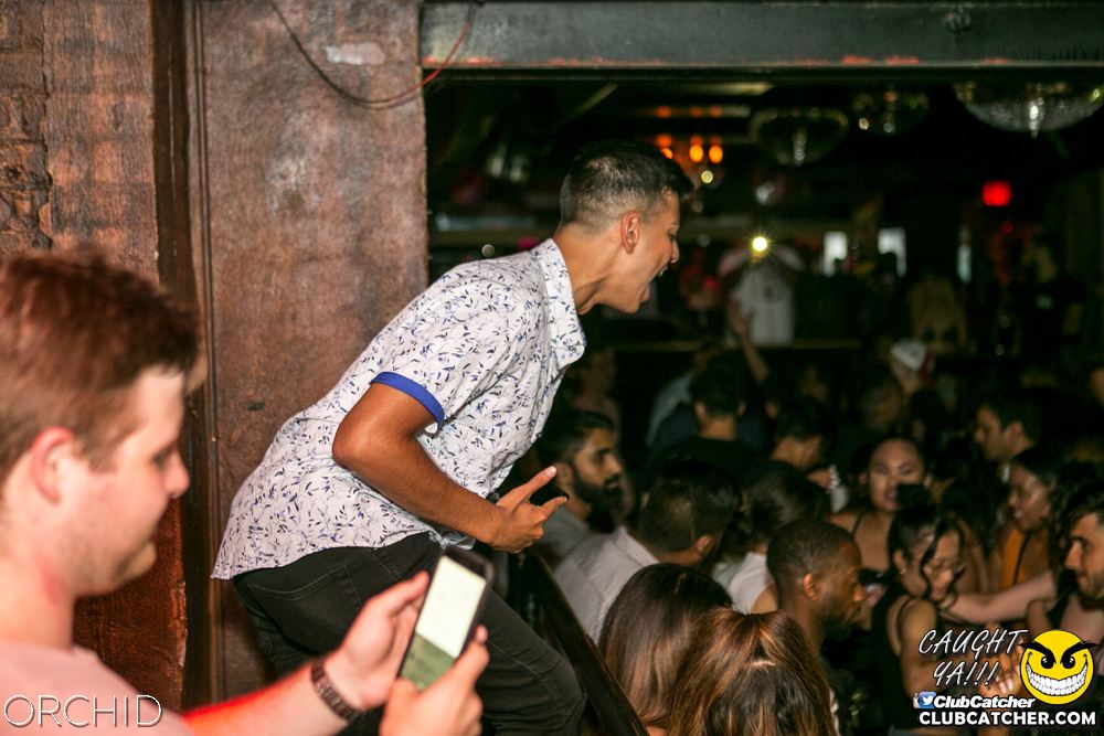 Orchid nightclub photo 68 - July 20th, 2019