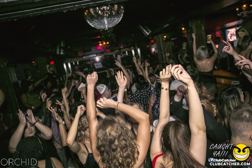 Orchid nightclub photo 70 - July 20th, 2019