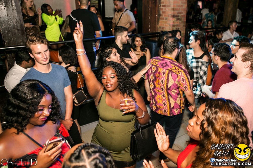 Orchid nightclub photo 71 - July 20th, 2019