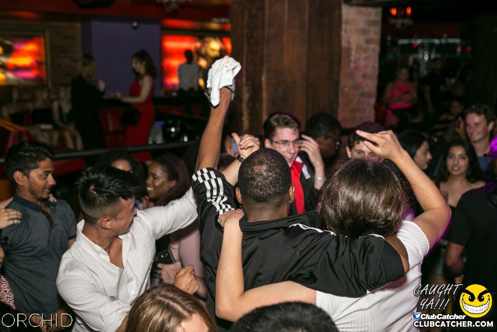 Orchid nightclub photo 79 - July 20th, 2019