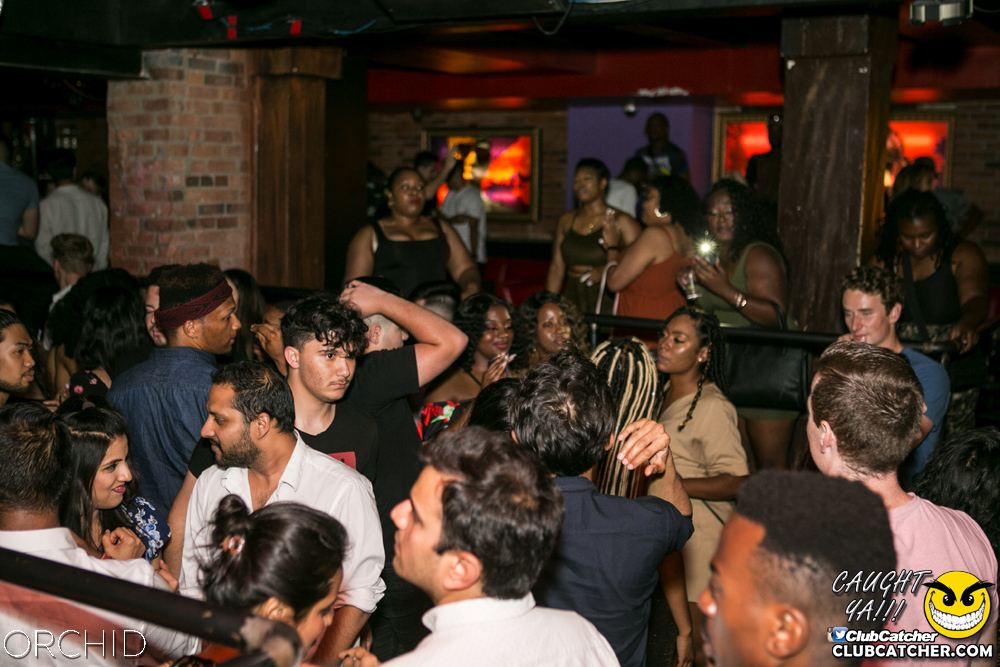 Orchid nightclub photo 80 - July 20th, 2019