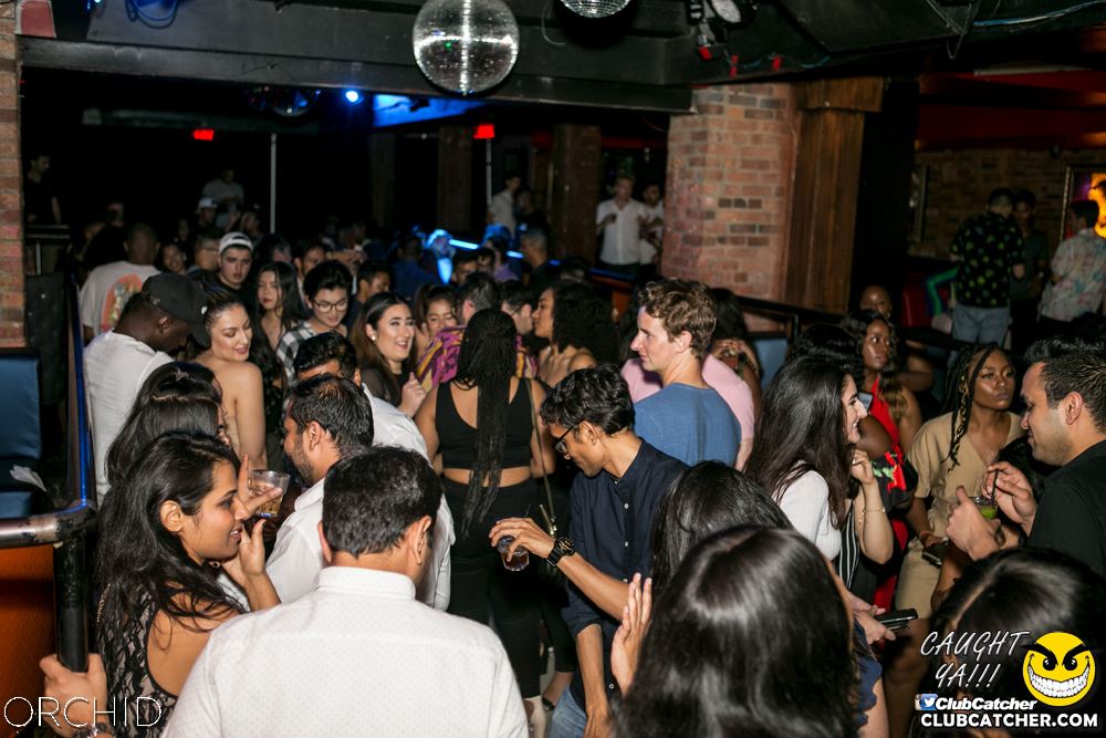 Orchid nightclub photo 81 - July 20th, 2019