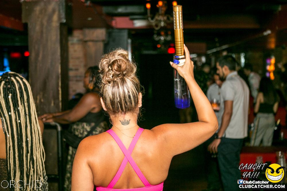 Orchid nightclub photo 83 - July 20th, 2019
