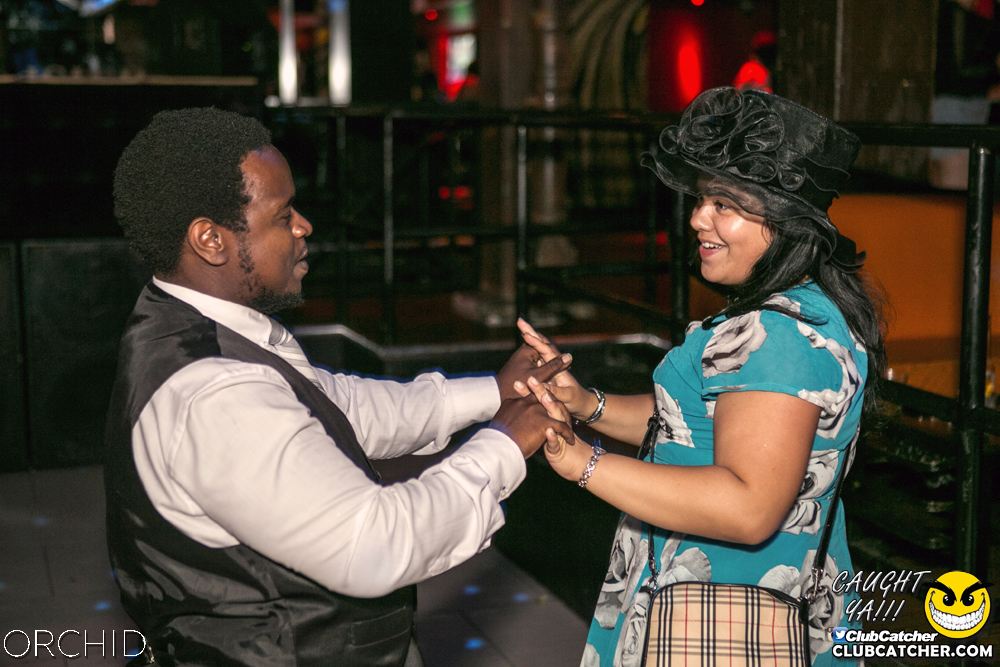 Orchid nightclub photo 87 - July 20th, 2019