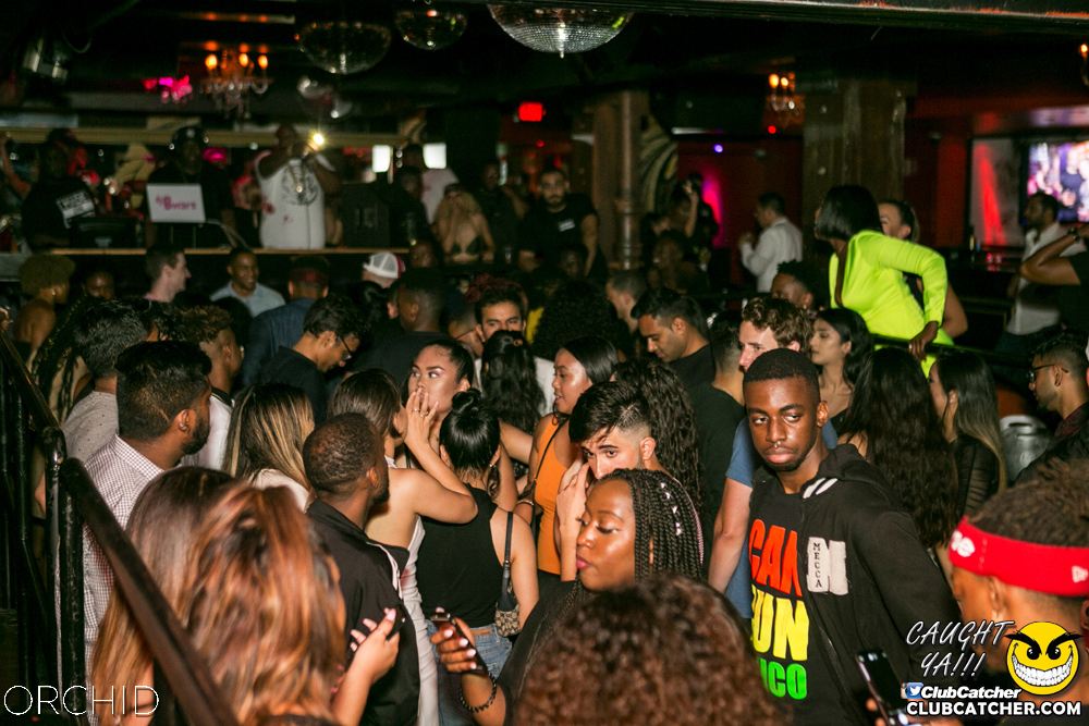 Orchid nightclub photo 90 - July 20th, 2019