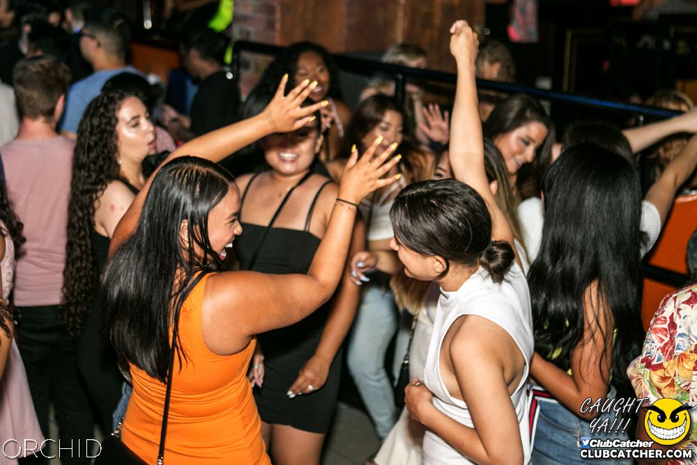 Orchid nightclub photo 98 - July 20th, 2019