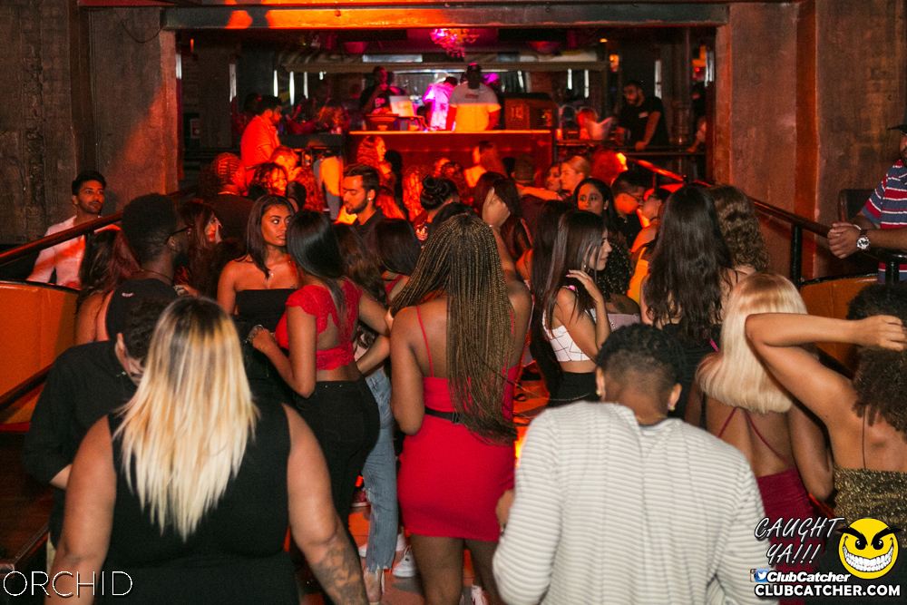Orchid nightclub photo 15 - July 27th, 2019