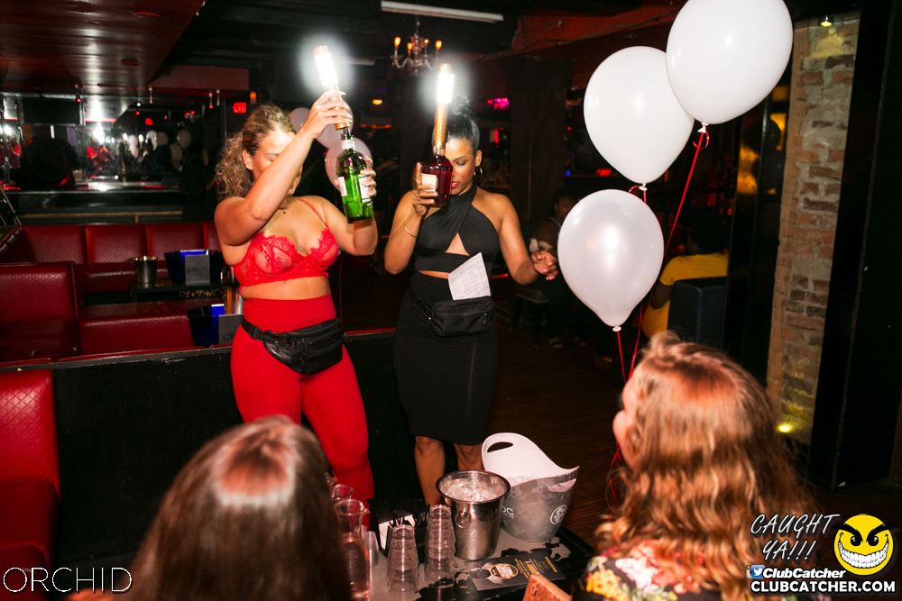 Orchid nightclub photo 16 - July 27th, 2019