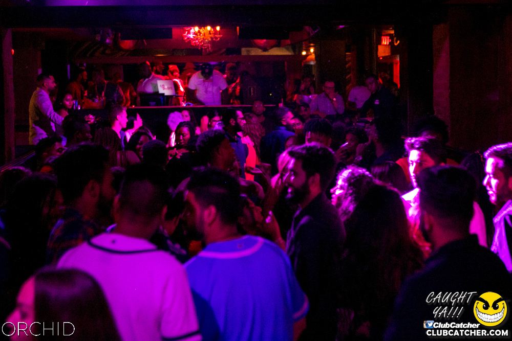 Orchid nightclub photo 20 - July 27th, 2019